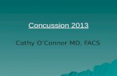 Concussion  2013