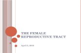 THE FEMALE REPRODUCTIVE TRACT