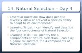 14. Natural Selection – Day 4