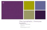 The Lymphatic / Immune System