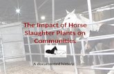 The Impact of Horse Slaughter Plants on Communities