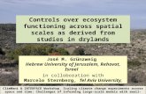 Controls over ecosystem functioning across  spatial  scales as derived from studies in drylands