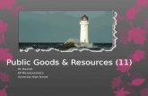 Public Goods & Resources (11)