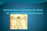 Introduction and Anatomic Basis for Athletic Injury Assessment