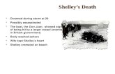 Shelley’s Death