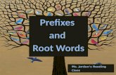 Prefixes  and  Root Words