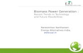 Biomass Power Generation :  Recent Trends in Technology  and Future Possibilities