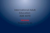 International Adult Education  ADE 6070