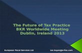 The  Future of Tax Practice  BKR  Worldwide  Meeting Dublin ,  Ireland  2013