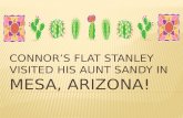 Connor’s Flat Stanley visited his Aunt Sandy in  Mesa, Arizona!