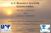 U.S. Beaufort Sea Fish Communities