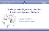 Safety  Intelligence: Senior Leadership and Safety