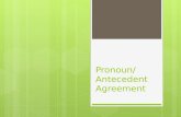 Pronoun / Antecedent  Agreement