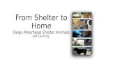 From Shelter to  Home Fargo-Moorhead Shelter Animals Jeff  Canning
