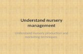 Understand nursery  management