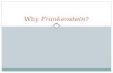 Why  Frankenstein ?