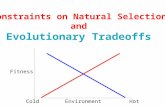 Constraints on Natural  Selection and Evolutionary Tradeoffs