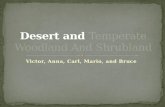 Desert and  Temperate Woodland And Shrubland