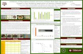 Inhibition of  Phymatotrichopsis omnivora (Cotton Root Rot) Germination and
