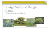 Forage Value of Range Plants ~ Grasses, Shrubs, and Forbs