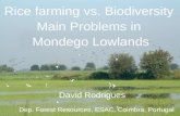 Rice  farming vs. Biodiversity  Main Problems in  Mondego  Lowlands