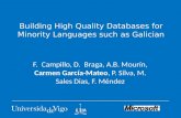 Building High Quality Databases for Minority Languages such as Galician