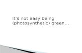 It’s not easy being (photosynthetic) green…