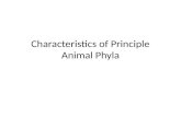 Characteristics of Principle Animal Phyla