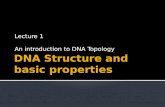 DNA Structure and basic properties