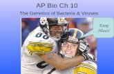 AP Bio Ch 10