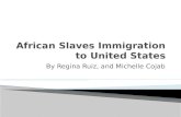 African Slaves Immigration to United States