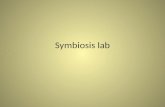 Symbiosis lab
