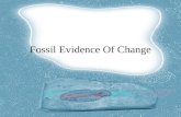Fossil Evidence Of Change