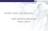 Ankle and Leg Injuries