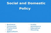 Social and Domestic  Policy