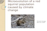 Microevolution of a red squirrel population caused by climate change