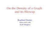 On the Density of a Graph  and its Blowup