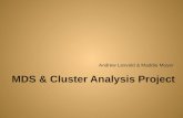 MDS & Cluster Analysis Project