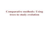 Comparative methods: Using trees to study evolution