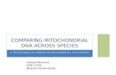 Comparing Mitochondrial DNA across species
