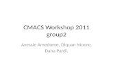 CMACS Workshop 2011 group2