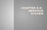 Chapter 8.5:  Nervous System