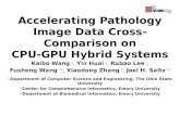 Accelerating Pathology Image Data Cross-Comparison on CPU-GPU Hybrid Systems
