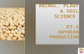 Animal, Plant & Soil Science E7-1  Soybean Production