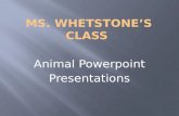 Ms. Whetstone’s class
