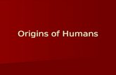 Origins of Humans