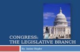 Congress:  the legislative branch