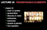 LECTURE 18:   TRANSPOSABLE ELEMENTS