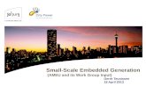Small-Scale  Embedded  Generation  (AMEU and its Work Group Input)