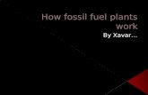 How fossil fuel plants work